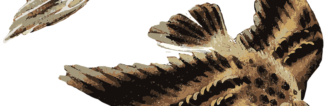 When Sparrows Fall to Earth